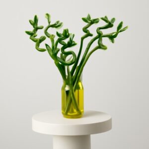 Spiral Bamboo